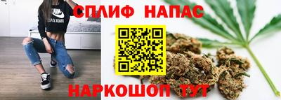 spice Беслан